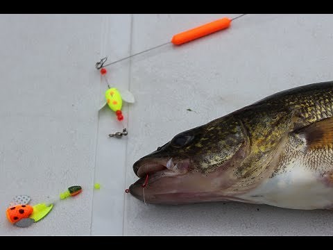 How to Fish the Spin-N-Glo from Yakima Bait