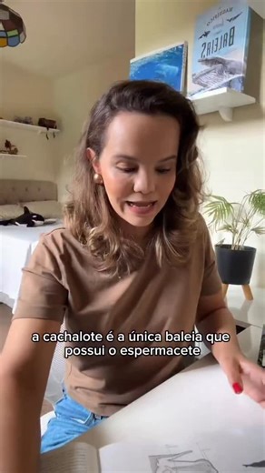 Tamires Fernandes - baleias e golfinhos on Instagram: "O espermacete é uma das estruturas mais fascinantes da cachalote (Physeter macrocephalus) e está diretamente ligado à sua capacidade de realizar mergulhos em grandes profundidades. Localizado na cabeça, esse órgão é composto por uma substância lipídica que pode mudar de estado físico conforme a temperatura. Durante o mergulho, a vasoconstrição e o resfriamento do órgão favorecem a solidificação parcial do espermacete, aumentando a densidade