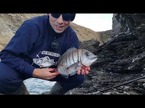 comment pêcher facilement des poissons en mer du bord