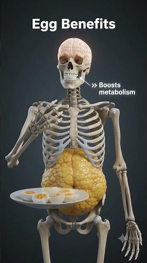 Egg Diet Plan For Quick Body Fat Reduce!! #weightloss #fatburner#ketodiet