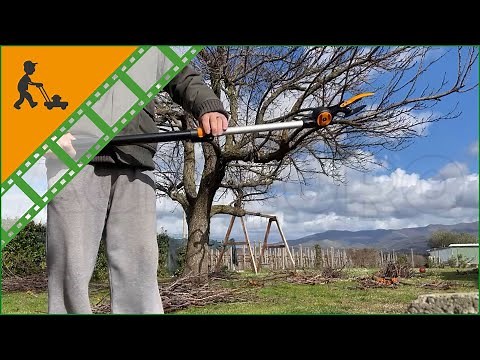 Heavy-duty Fiskars UPX86 Telescopic Pruning Shears - 240-400 cm pole - Customer's operating video