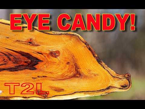 What Makes Wild Cherry so Magical?