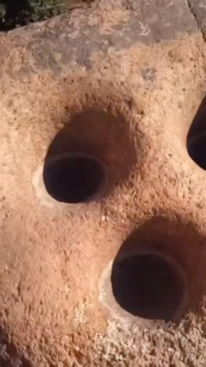 BRMs are found globally.