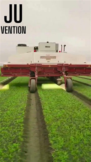 laser technology and ai using in agriculture Carbon Robotics