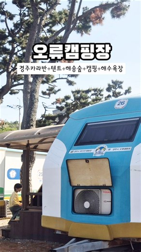 경주 고아라해변 오류캠핑장 해송숲 카라반 국민여가캠핑장