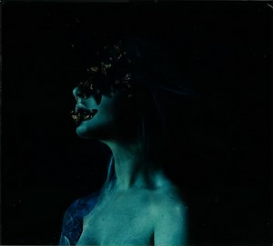 Chasing Desolation - The Moth Collection