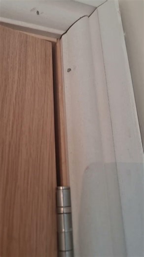 Applewood - Csrpentry door lining issues