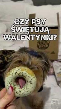 Czy psy obchodzą walentynki?Pies mówi ZDECYDOWANE TAK… tylko lepiej niż ludzie 😏🐾
