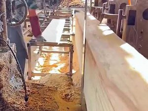 This Is How Timber Is Made! Complete Woodcutting Process
