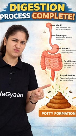 How Your Body Turns Food into Poop?