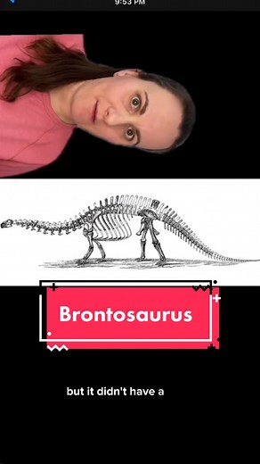 Brontosaurus: The Misunderstood Dinosaur Saga