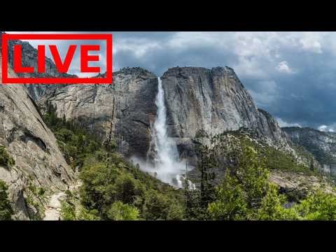 🌎 LIVE Yosemite National Park | Relaxing Ambience Music
