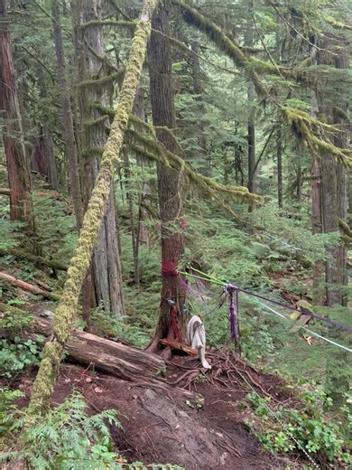 Chris Russell on Reels