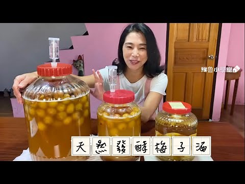 天然發酵梅子酒、沒有一滴酒、為什麼會變成酒？不用花錢買基底酒了Plum Wine