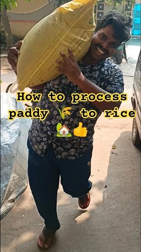 how to process paddy 🌾 to rice 👍🏡😋#organic #gardening #harvest