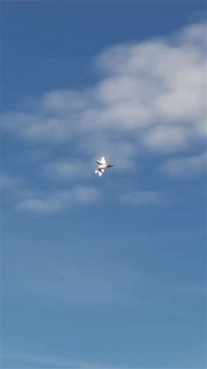 creativemm on TikTok