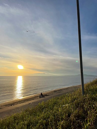 Creating a Wireframe Model of a Human Brain