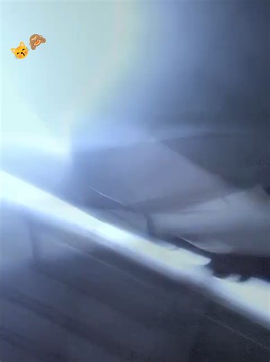 အကြံပြုထားသည့် အကောင့်များ