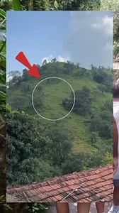 Seorang warga tiba" diserang oleh orang hutan | Guss Antare Antare
