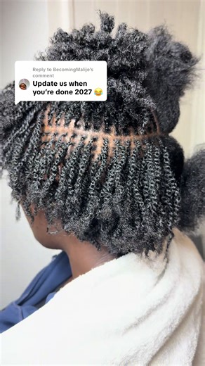 Micro Twist Installation Techniques for Locs