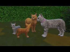 A Battle in AcornClan | Warrior Cats Sims 4 Legacy | ep12