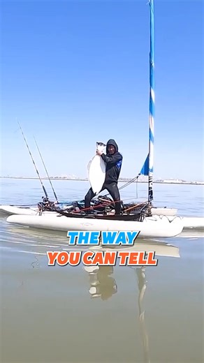 Cooking Halibut is Really Hard! 🎣 #halibut #monster #cooking #catchandcook | Fisherman's Life