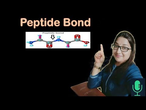 Peptide bond