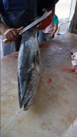 From Whole to Steak: Spanish Mackerel Cutting ASMR Experience