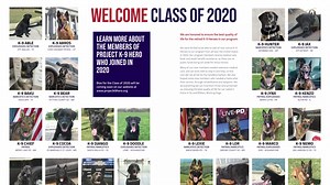 2K views · 94 reactions | VFW National Commander Fritz Mihelcic and VFW Director of Programs Lynn Rolf want you to Remember Every Dog Deployed (REDD) with Project K-9 Hero and our one-of-a-kind certificate to honor your military working dog, past or present. #REDD | Veterans of Foreign Wars VFW | Facebook