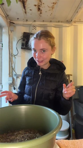 Pferdefutter kochen für dein Pferd