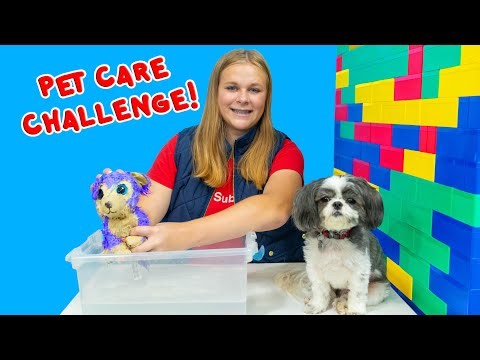 Wiggles and Waggles Pet Care Challenge with the Assistant