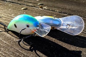 Best Gear Ratio for Fishing Crankbaits | The Bass Fishing Life