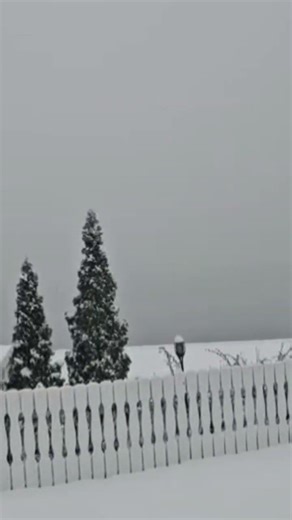 Heavy Snow fall 💖 Beautiful Snowfall scene #snowfall #snowday #snow