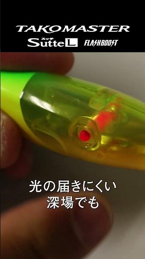 【ハイアピールの極み+無限のカスタマイズ】タコマスタースッテLフラッシュブースト