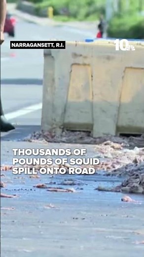 Thousands of pounds of squid spill onto road in Narragansett