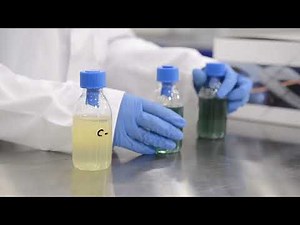 Qualitative Rapid Kit Bluephage