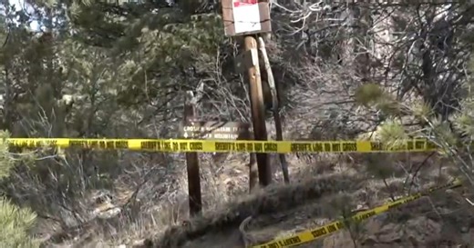 Woman killed in suspected mountain lion attack in Colorado