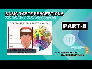 Part 8 - SCA Introduction to Coffee Course_Senses & Basic Taste Perceptions