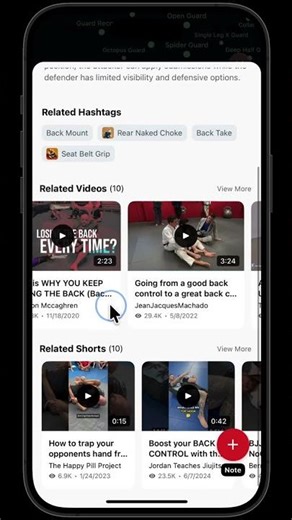Today’s BJJ Technique: Back Control Details