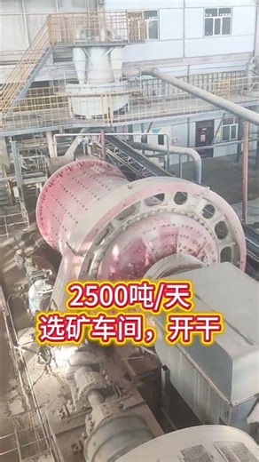 Mineral Processing Machinery