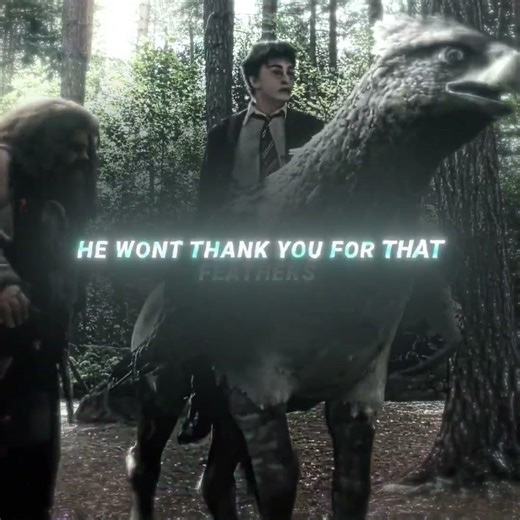 Harry Potter Allies With BuckBeak 🥺 | Headlights