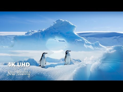Frozen Beauty of Antarctica - 4K Scenic Relaxation Film with Relaxing Music, Stress Relief Music