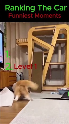 202607282113 45😂 Funniest Cat Moments That Will Make You Laugh! 🐱🤣