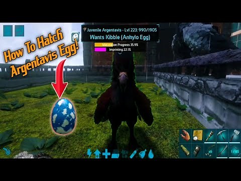 Ark Mobile How To Hatch Argentavis Egg (Without Air Conditioner)