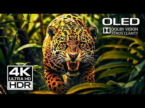 INTENSE 4K HDR10 Ultra HD Video | Dolby Vision 60fps (4K TV Test)
