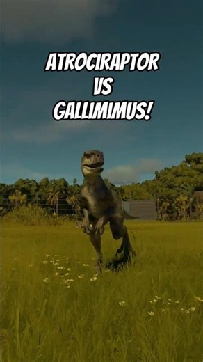 Atrociraptor VS Gallimimus!! | Who wins? #jurassicworldevolution3