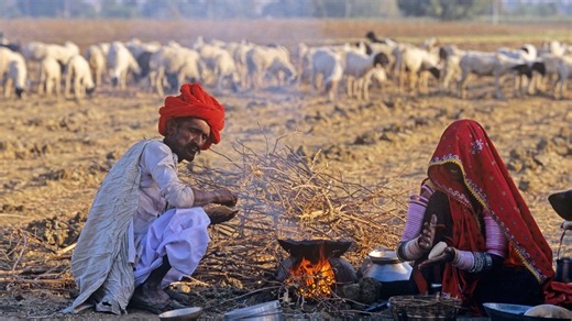 Farming yields Rs 4,500 a month, less than what you'd splurge on a dinner date