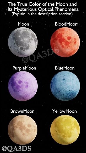 True color of Moon and Its mysterious Optical Phenomena #universe #animation #nasa #planet