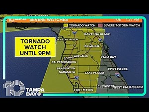 LIVE RADAR | Strong storms roll through Tampa Bay area