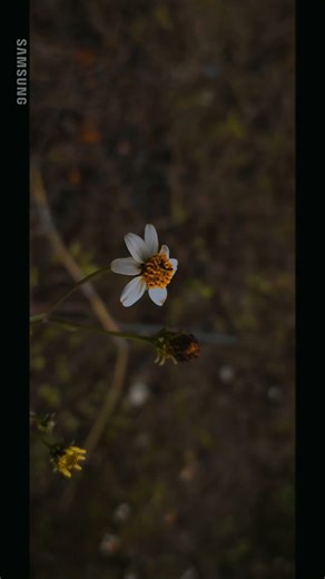 making everything Cinematic using Samsung S24✨️❤️|| #trending #cinematic #samsung